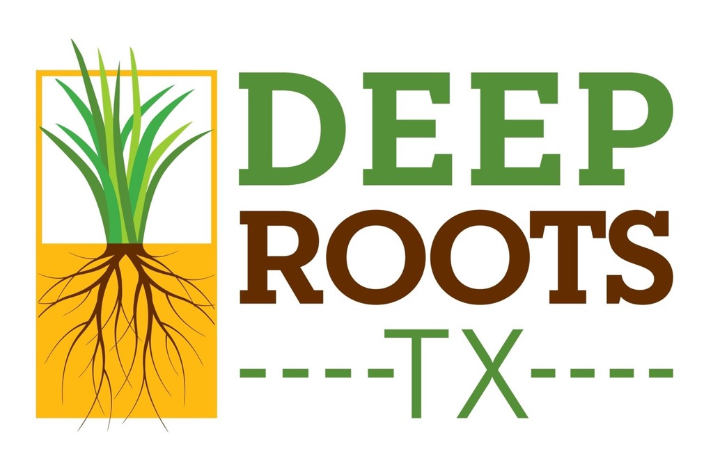 Deep Roots TX Logo